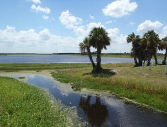 Loughman Lake, Titusville, Florida